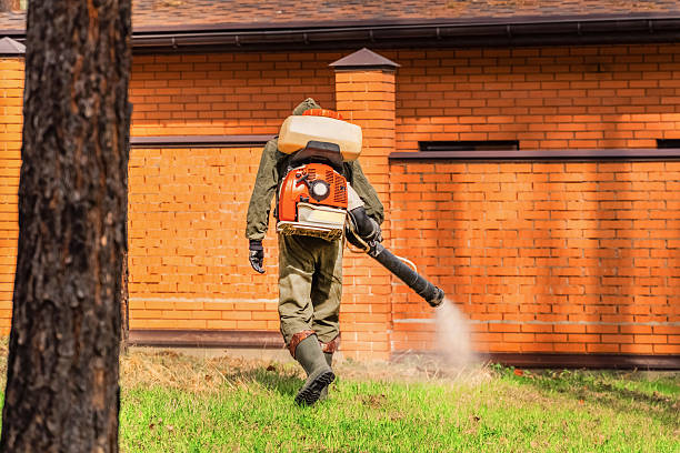 Trusted Cockroach Control service in Penn Estates, PA - Nex Pest Control